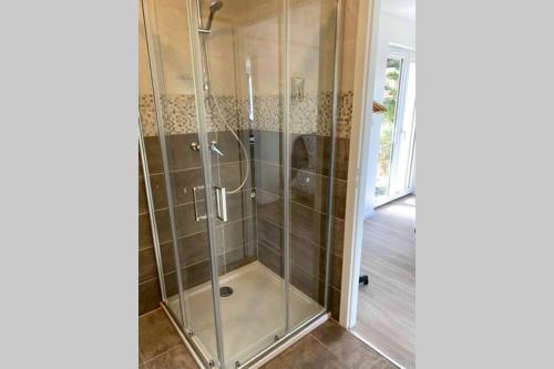 une douche avec une porte vitrée dans une salle de bain dans l'établissement Le Vintage, à Thonon-les-Bains