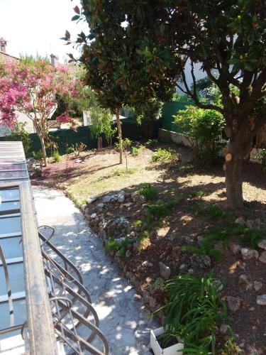 un jardin avec un arbre et un trottoir dans l'établissement Le rêve bleu, à Cagnes-sur-Mer