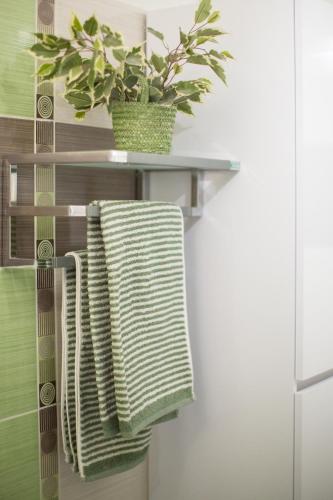 - un porte-serviettes avec 2 serviettes et une plante dans l'établissement Appart Coeur de Rouen - Place des Carmes, à Rouen