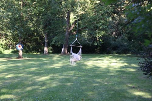 a hammock hanging from a tree in a park at Chalet Forsthof Everstorf in Grevesmühlen