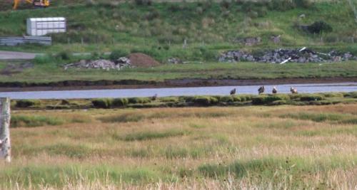 Gallery image of Trien Lodge in Carbost