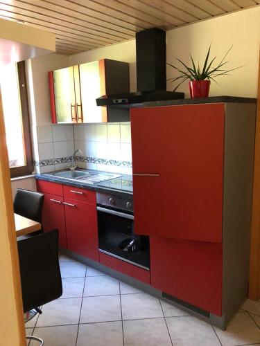 a kitchen with red cabinets and a black stove at Ferienwohnung Paradies in Heidelberg