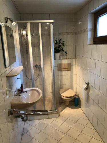 a bathroom with a shower and a sink and a toilet at Ferienwohnung Paradies in Heidelberg