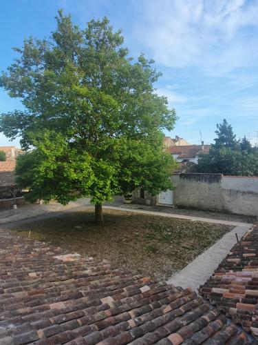 Appartement le Pas Sage du Marché La Flotte