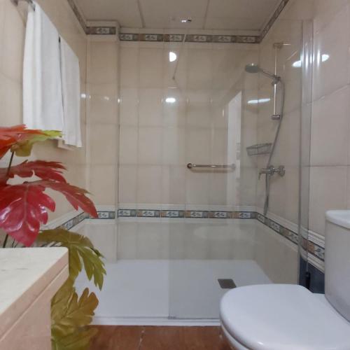 a bathroom with a shower and a toilet and a tub at 330 - Edf Aguamarina - Vacation Rental Home in the coast line of Golf del Sur in San Miguel de Abona