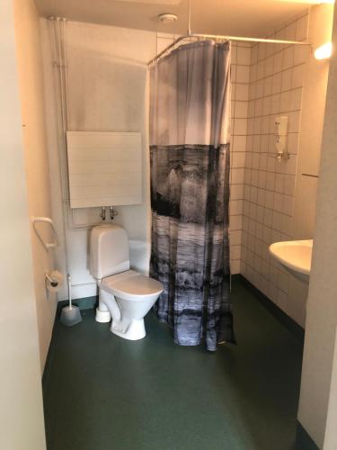 a bathroom with a toilet and a shower curtain at Hostel400Kokkola Tehtaankatu in Kokkola