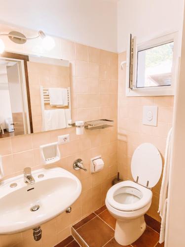 a bathroom with a sink and a toilet and a mirror at Casa Zoe in Lezzeno