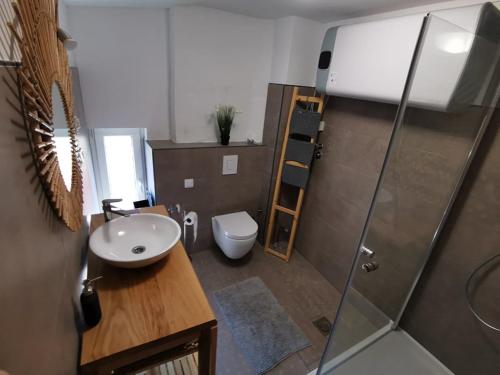 a bathroom with a sink and a toilet and a shower at APARTMA LINDAU in Lendava