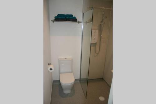 La salle de bains est pourvue de toilettes et d'une douche en verre. dans l'établissement The Snug at the Ski Lodge, Aviemore, à Aviemore
