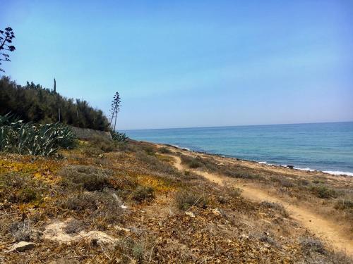 a dirt road leading to the ocean on a beach at Covo dei Marinai in Cava dʼAliga
