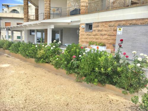 a row of plants in front of a building at Covo dei Marinai in Cava dʼAliga