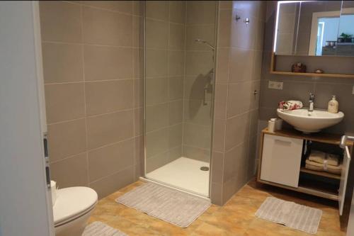 a bathroom with a shower and a toilet and a sink at GRÜNER HAUS in Gampern