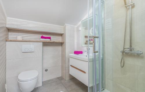マリンスカにあるApartments Vila DKのトイレとガラスのシャワー付きのバスルーム