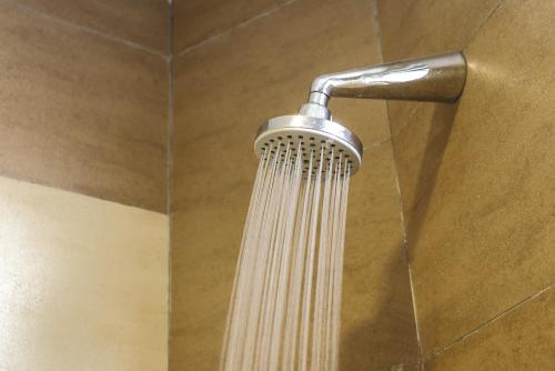 a shower with a shower head in a bathroom at Parkland Hotel in Brinchang
