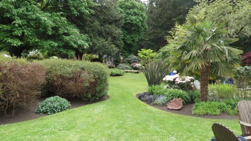 a garden with a lawn and plants and trees at Cobble Wood and Bird Sanctuary Guest Houses in Tofino