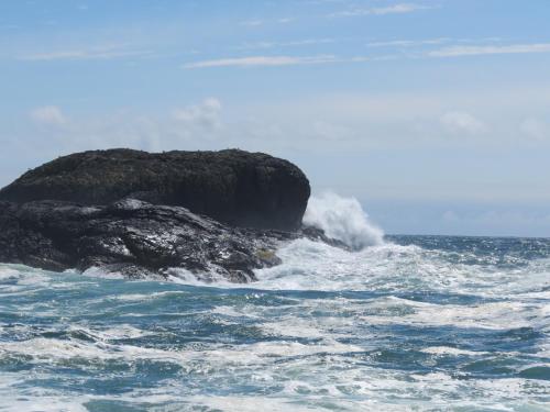 a wave crashing on a rock in the ocean at Cobble Wood and Bird Sanctuary Guest Houses in Tofino
