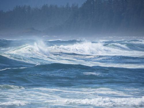 a large body of water with waves in it at Cobble Wood and Bird Sanctuary Guest Houses in Tofino