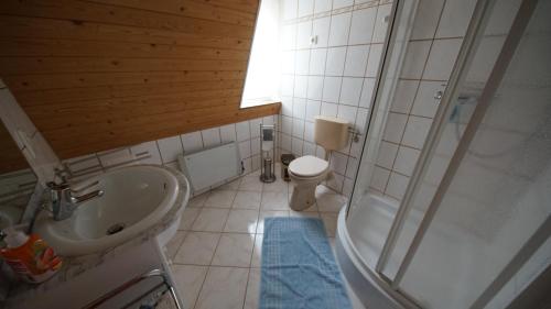 a bathroom with a sink and a shower and a toilet at Ferienwohnung Zeus in Thale