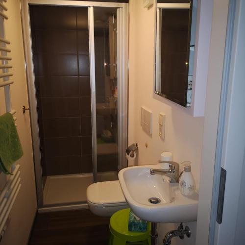 a bathroom with a sink and a toilet and a shower at Ferienhof Plotzen in Hochkirch