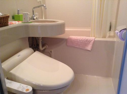 Baño pequeño con aseo y lavamanos en ピッコロホテル オペラ軽井沢, en Karuizawa
