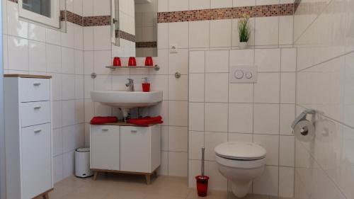 a bathroom with a toilet and a sink at Ferienwohnung Giovanni Studio in Schwandorf in Bayern
