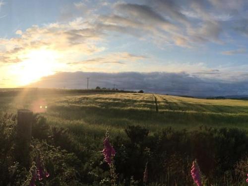 un prato erboso con il tramonto di sole sullo sfondo di Carr's Hill Luxury Safari Tents a Denny