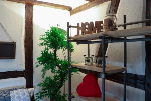 una mensola in una stanza con una pianta di Sous les toits du Zinc - Climatisé a Colmar