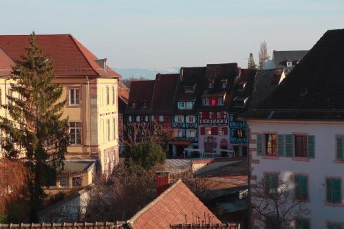 a group of buildings in a city with roofs at Sous les toits du Zinc - Climatisé in Colmar