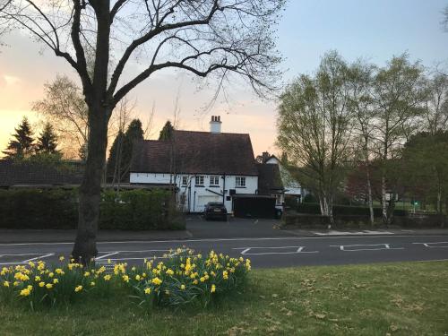Old Farm Hotel photo 32