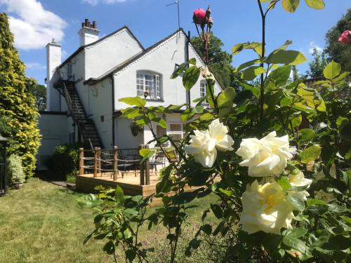 Old Farm Hotel photo 22