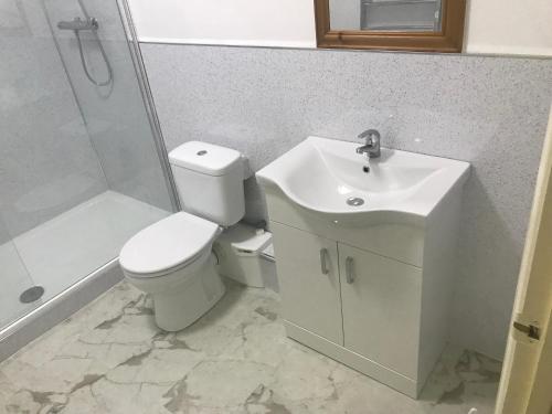 La salle de bains est pourvue de toilettes, d'un lavabo et d'une douche. dans l'établissement Stanley Arms Hotel, à Seascale