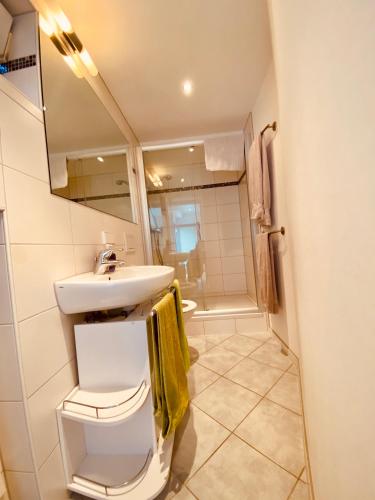 a bathroom with a sink and a toilet at Modernes Apartment am Bodensee in Wasserburg