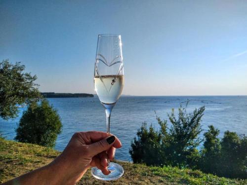 a person holding a wine glass in front of the water at Apartment Trieste M&M in Muggia