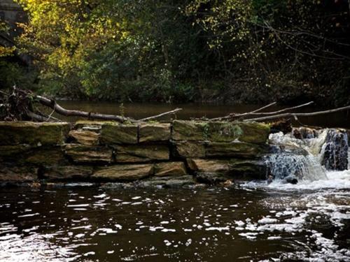 a waterfall in the middle of a pond at The Sun Inn in Dalkeith