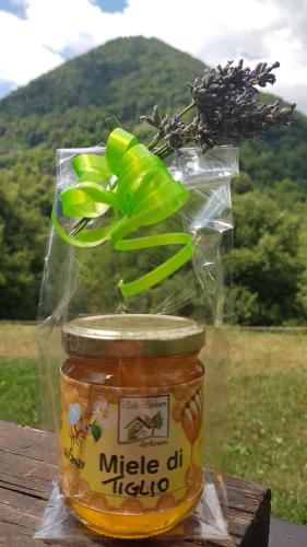 a jar of mike dip with a plant in it at Baita Eleonora in Argegno