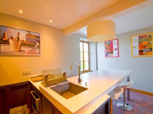 a kitchen with a sink and a counter at Les Temps Perdus in Préhy