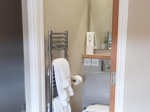 a bathroom with a towel rack and a mirror at The Bowes Hotel in Bardon Mill