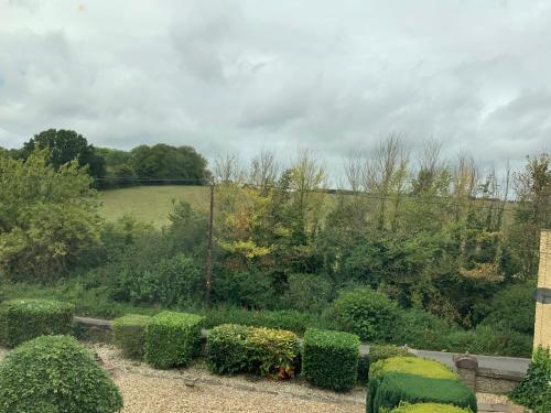 Old Gloucester Road farm bed and breakfast photo 11
