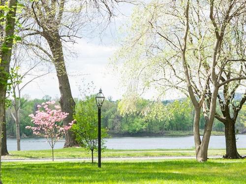 a park with a street light in the grass at The Manor on Front in Harrisburg