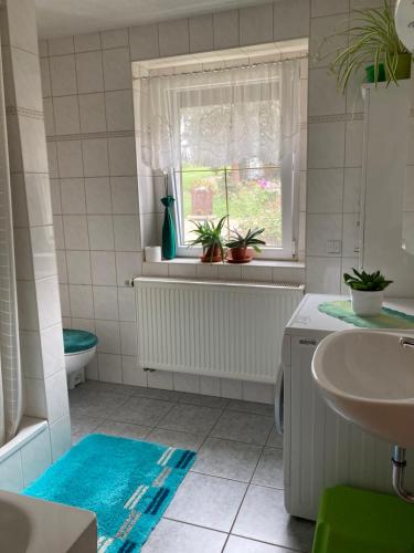 a bathroom with a sink and a toilet and a window at -am Fuß zum Zittauer Gebirge- in Hainewalde