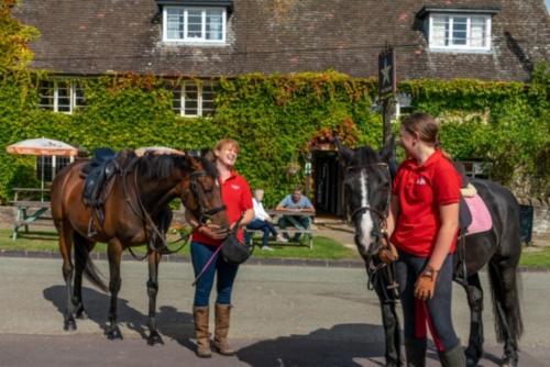 Gallery image of The Star Inn in Sulgrave