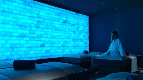 Fotografie z fotogalerie ubytování Le Parc Hôtel Obernai & Yonaguni Spa v destinaci Obernai