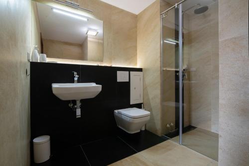 ein Bad mit einem WC, einem Waschbecken und einer Dusche in der Unterkunft Aspen in Wisła