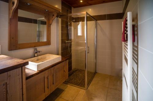W łazience znajduje się umywalka i prysznic. w obiekcie Gite Balnéo La Pomme de Pin w mieście Sixt