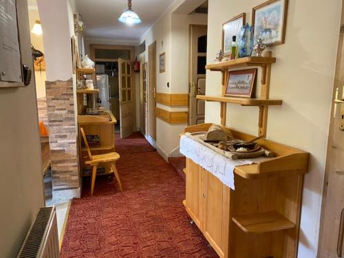 a kitchen with a sink and a counter in a room at Dom Wczasowy Stanislawa in Biały Dunajec