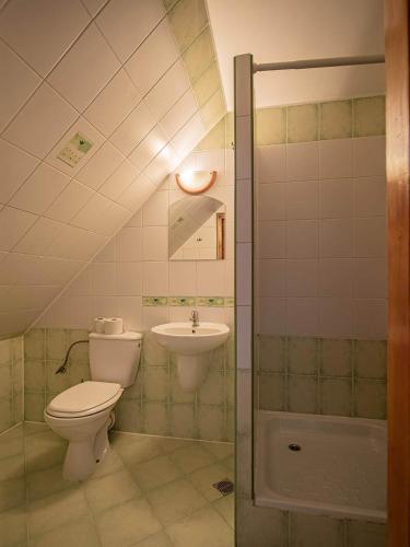 a bathroom with a toilet and a sink at Dom Wczasowy Stanislawa in Biały Dunajec