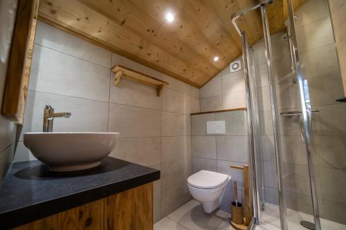 a bathroom with a sink and a shower and a toilet at Gîte Balnéo Au Coeur des Alpes in Taninges