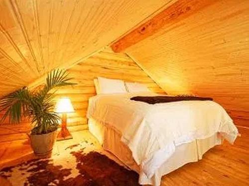 um quarto com uma cama e um vaso de plantas em Trail City Bed & Breakfast em Coolidge