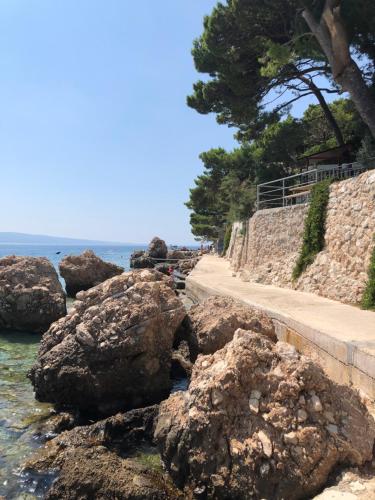 a path next to the ocean with rocks and trees at Rumenović in Stanići