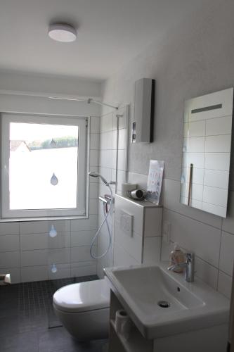 ein Badezimmer mit Toilette und Waschbecken und einem Fenster in der Unterkunft Bike and Hike Ferienhaus Kolverath in Kolverath
